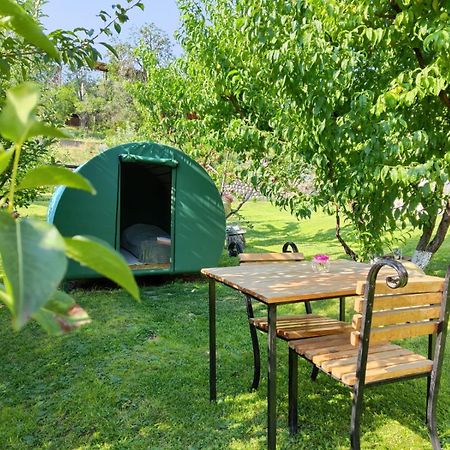 Nataly Campsite Yeghegnadzor Dış mekan fotoğraf