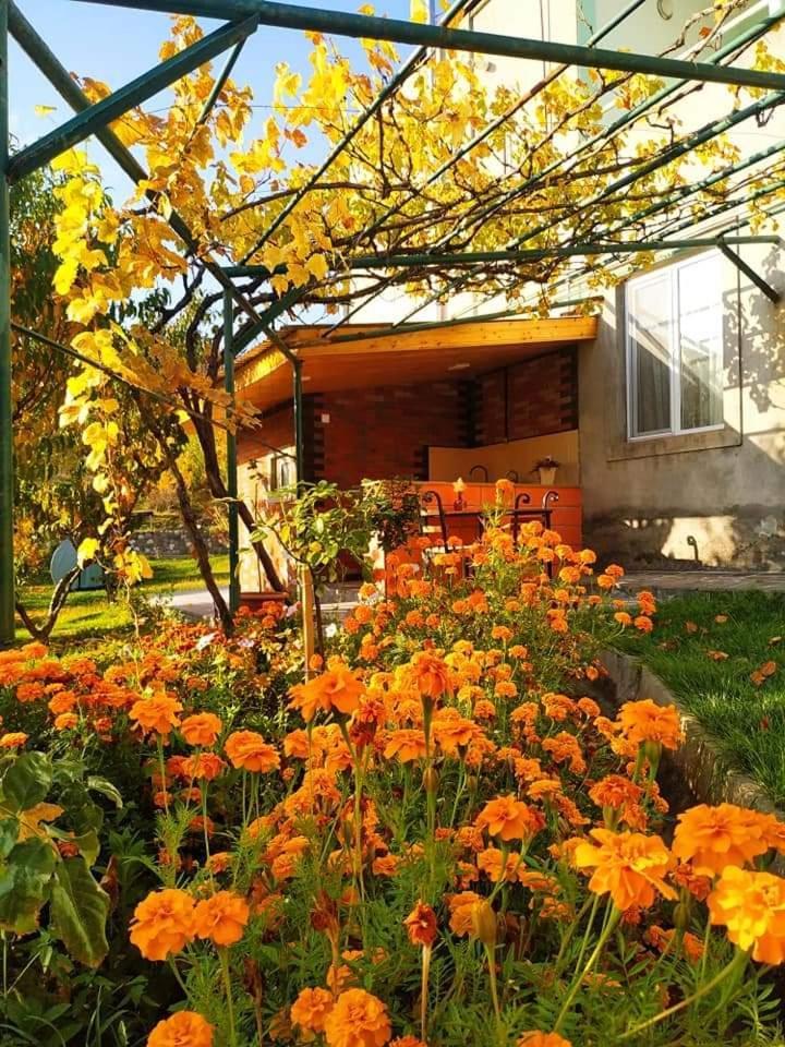 Nataly Campsite Yeghegnadzor Dış mekan fotoğraf