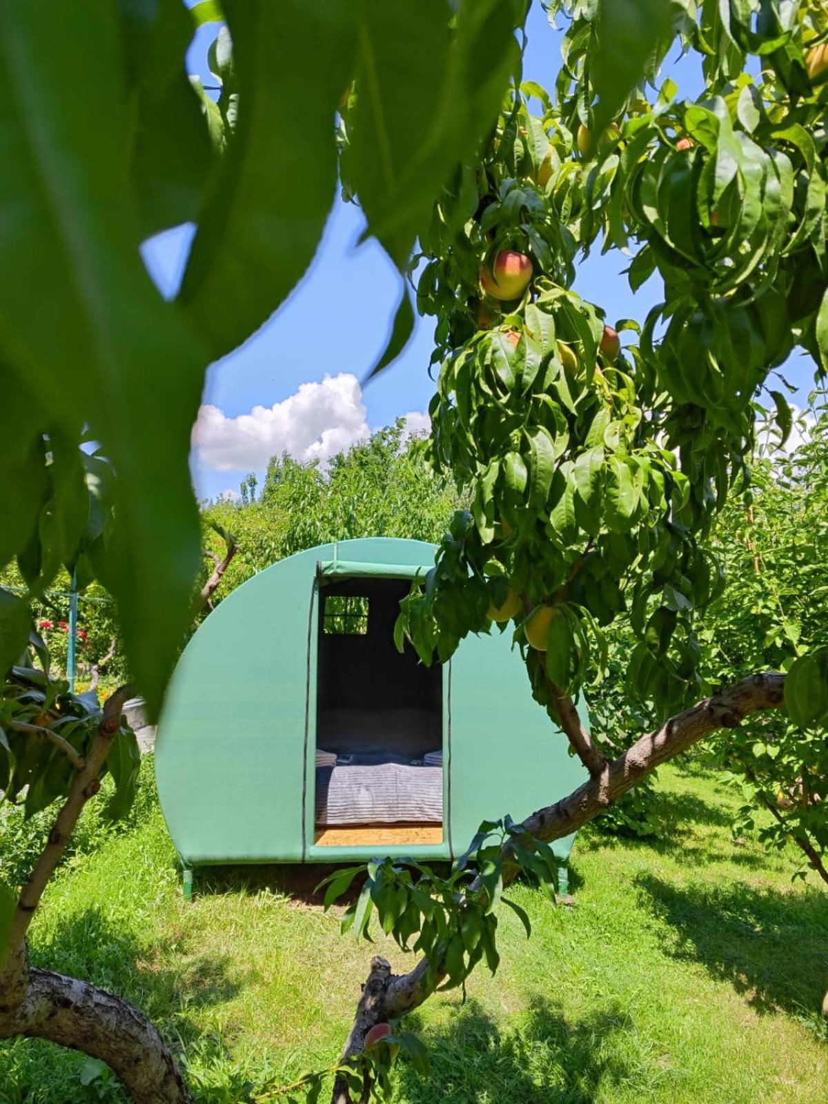 Nataly Campsite Yeghegnadzor Dış mekan fotoğraf