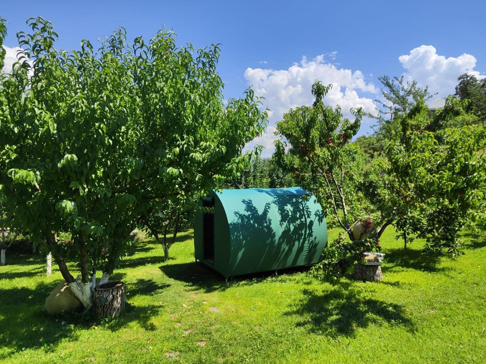 Nataly Campsite Yeghegnadzor Dış mekan fotoğraf