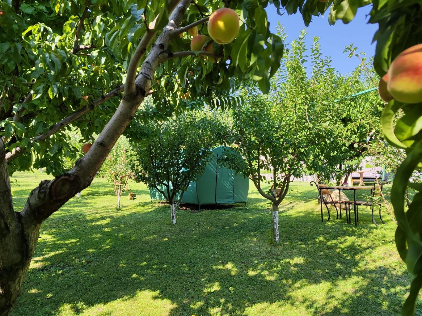 Nataly Campsite Yeghegnadzor Dış mekan fotoğraf